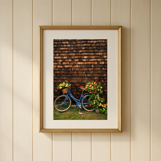 Classic beach cruiser bike covered in flowers placed against a cedar shingle wall, framed on a wall, taken in Norwell, Massachusetts