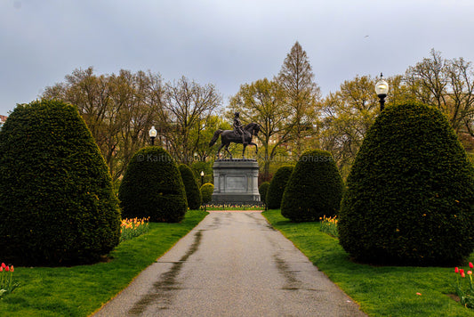 Boston Public Garden Spring Print - "George in Springtime" — Massachusetts Photography