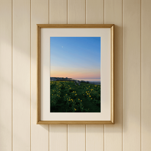 Newport Daffodil Sunrise — Rhode Island Photography, Coastal Art Print