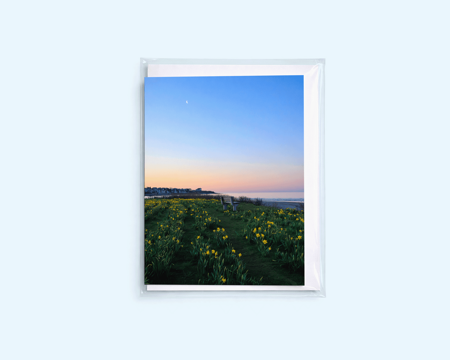 *SECONDS* Blank Greeting Card - Newport Daffodil Sunrise - Singular Card and Envelope - Coastal Stationery (Copy) (Copy)