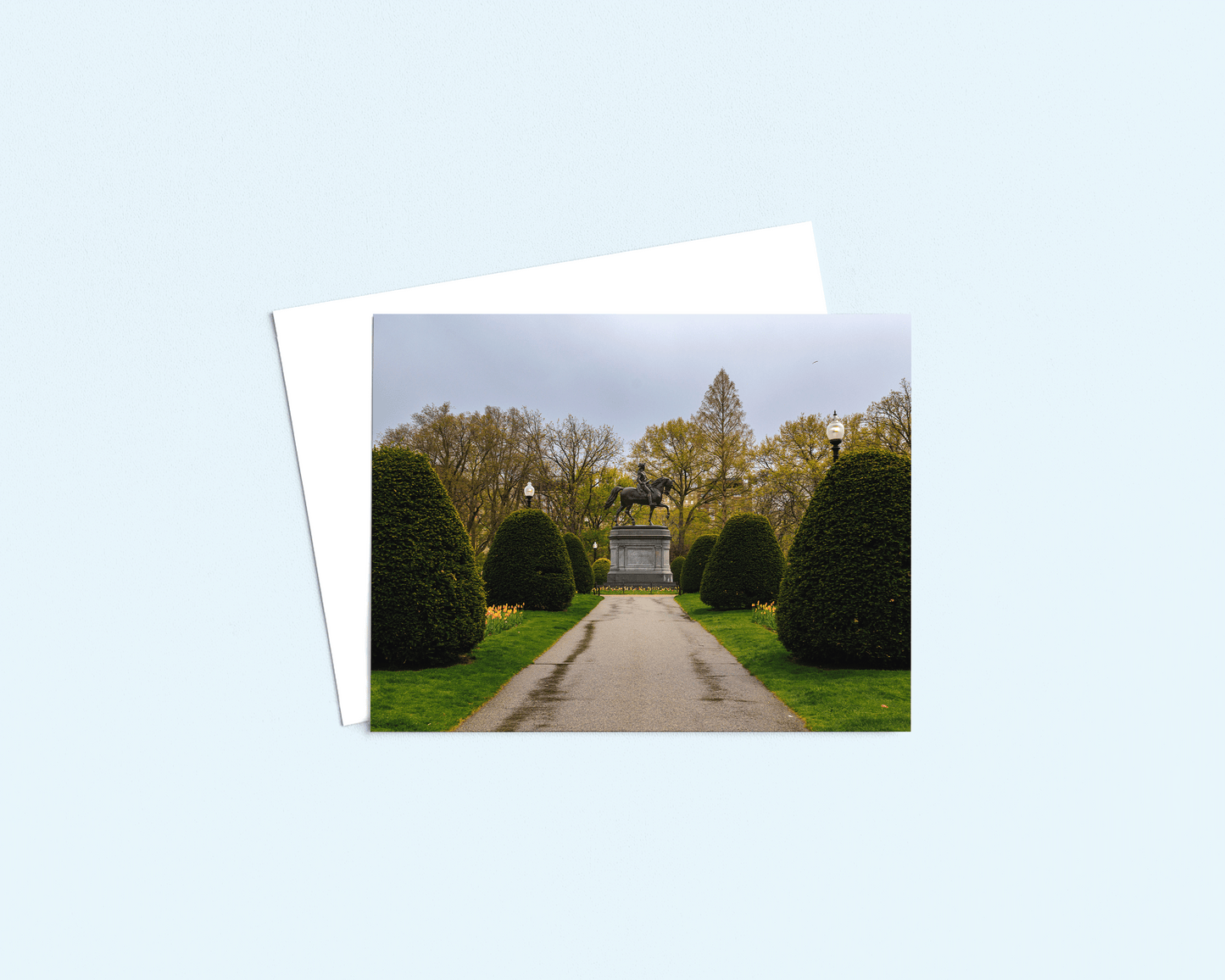 Blank Greeting Card - "George" Spring in Boston Common - Singular Card and Envelope - New England Stationery