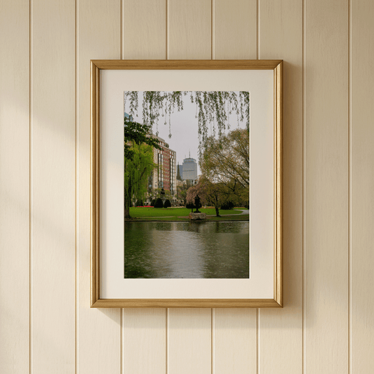 Boston Public Garden Skyline Print - "Rain Garden" — Massachusetts Photography