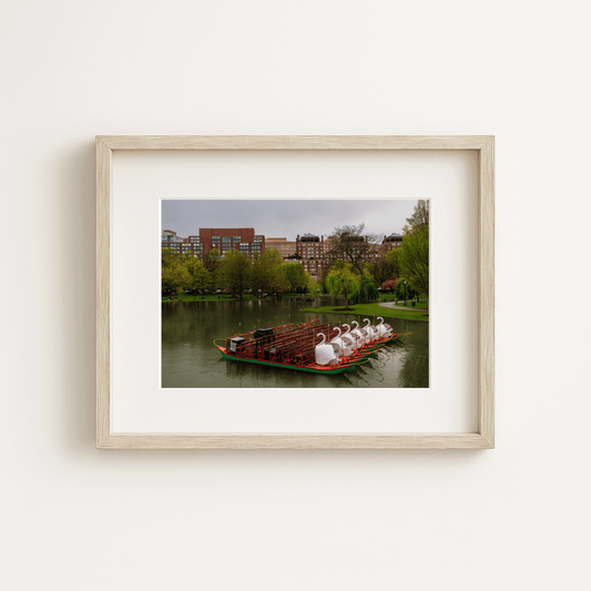 *SECONDS* Swan Boats Boston — Massachusetts Photography